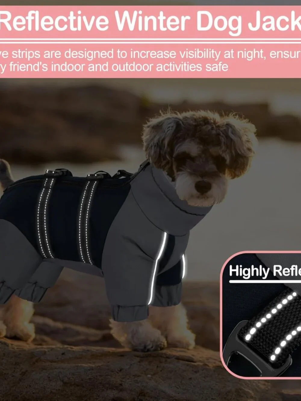 KOESON Four Legged Winter Coat